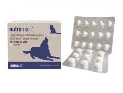 Nutramind tablets